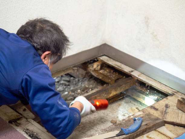 Best Professional Mold Removal  in Salem, OR