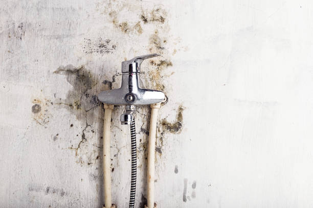 Mold Testing and Removal in Salem, OR