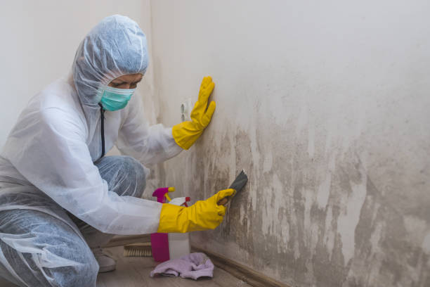 Best Emergency Mold Removal  in Salem, OR