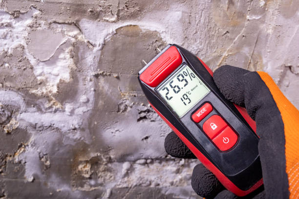 Best Crawl Space Mold Removal  in Salem, OR