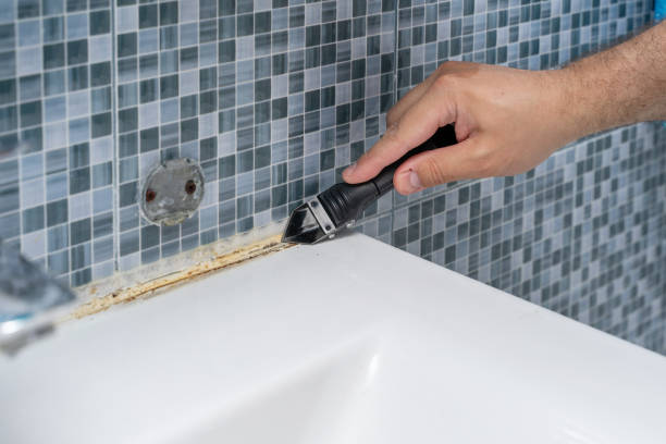 Best Local Mold Removal Service  in Salem, OR