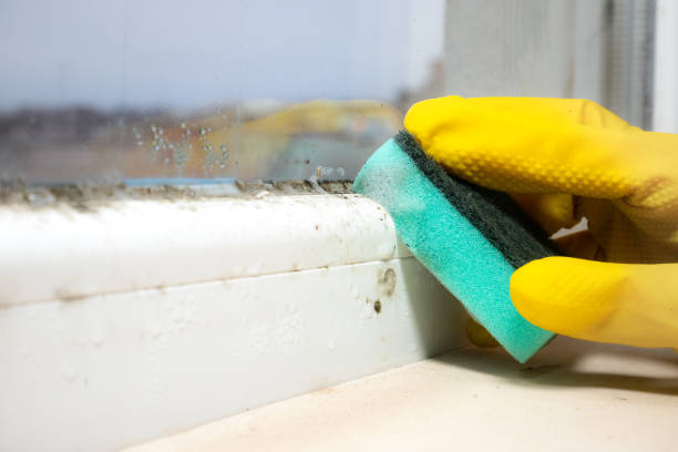 Best Mold Cleaning Services  in Salem, OR