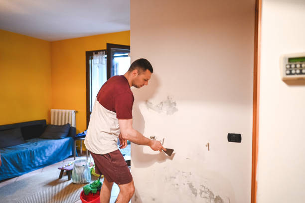 Best Toxic Mold Removal  in Salem, OR