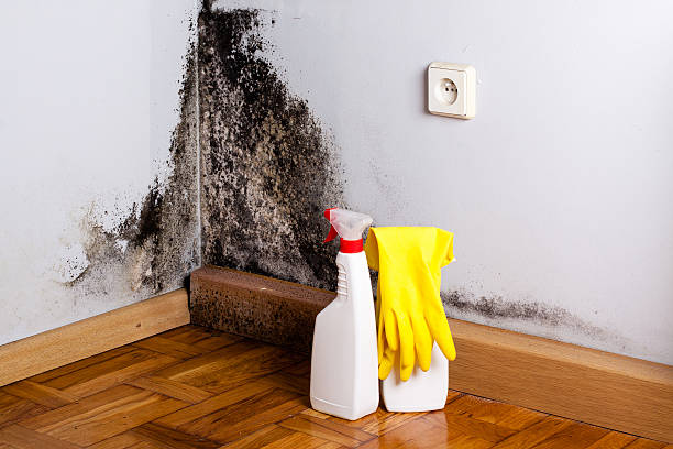 Crawl Space Mold Removal in Salem, OR